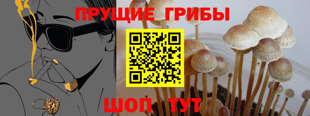 Галлюциногенные грибы прущие грибы  Вход с VPN  Псилоцибиновые грибы Psilocybine cubensis  Сыктывкар 